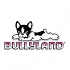 Bullyland